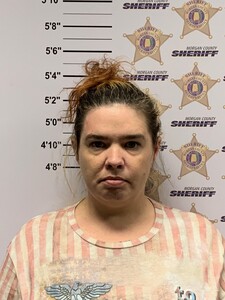 Mugshot of BRANDY MARIE HILL