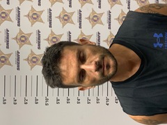 Mugshot of CHRISTOPHER JOHN INGRAM