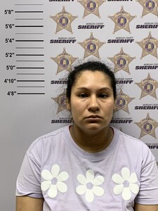 Mugshot of ERIKA MERCADO