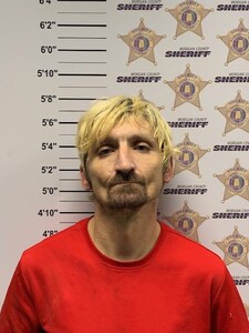 Mugshot of LEE WADE COOK