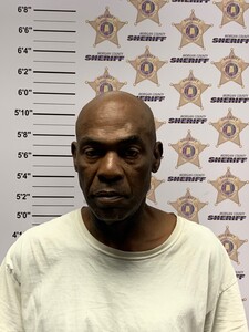 Mugshot of JAMES EARL JR MITCHELL