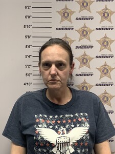 Mugshot of HEATHER LEE EARP COTTINGHAM