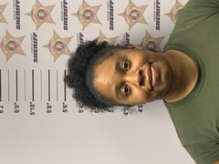 Mugshot of AMANDA LASHAY JOHNSON