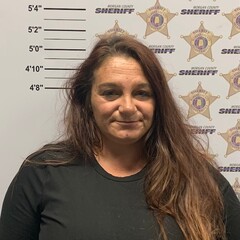 Mugshot of SHEENA DONELLE STEVENS