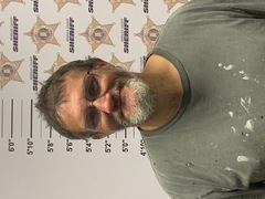 Mugshot of LONNIE BRANDON LOVETT