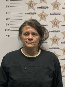 Mugshot of BARBARA MAE CHANEY