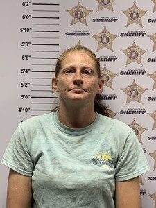 Mugshot of NATASHA LYNN WILHITE