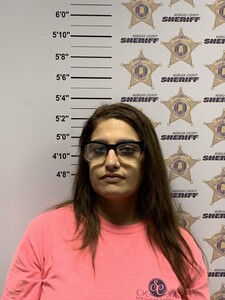 Mugshot of ASHLEE MICHELLE BROWN
