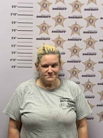 Mugshot of MELISSA ANN JONES