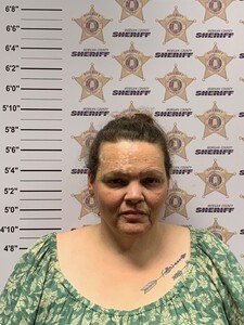 Mugshot of LINDSAY SUZANNE YOUNG