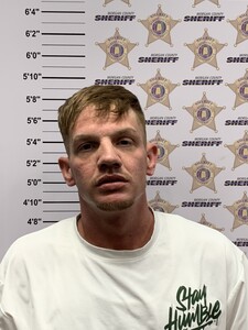 Mugshot of ELDEN CORDERA SHELTON