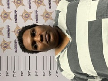 Mugshot of ALEXIS ANTESIA BOLDING