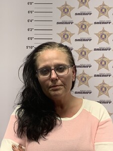 Mugshot of DIANE FAY MENDEZ LOPEZ
