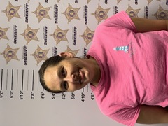 Mugshot of CRYSTAL LOGAN