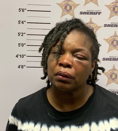 Mugshot of TAMEKA NICOLE HARRIS