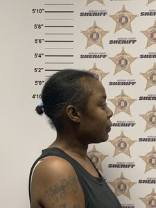 Mugshot of KELLY JANELL MITCHELL