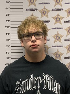 Mugshot of GRAM MCKEE FLOWERS