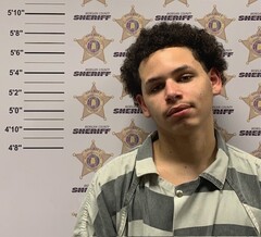Mugshot of RICKY EVERETT MCILWAIN