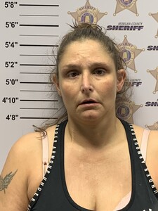 Mugshot of BRANDY WALLACE ATCHLEY