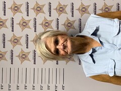 Mugshot of WANDA FAYE STEPHENSON
