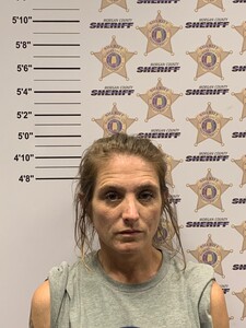 Mugshot of AMANDA MAE COLLIER