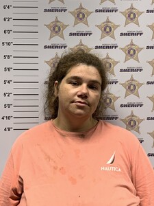 Mugshot of ALICIA ANN PRINCE