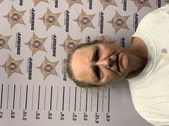 Mugshot of AMANDA ANNE PHILLIPS