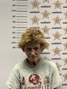 Mugshot of TINA LANG COOK