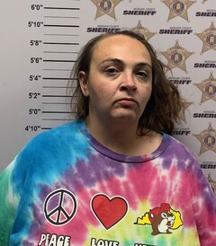 Mugshot of BRENNA WILLARD