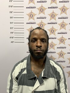 Mugshot of LOUIS III JUSTICE