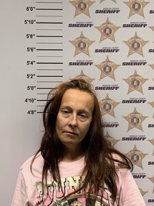 Mugshot of AMANDA JANE LEAK