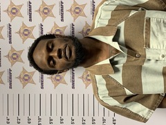 Mugshot of CHAPEDRON MARTIZE TURNER