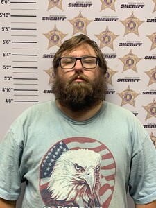 Mugshot of JOHN DEVIN WILLIS