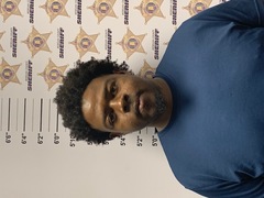 Mugshot of BARRY LEWIS JR FORD