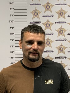 Mugshot of THOMAS LEE LAYTON OWENS