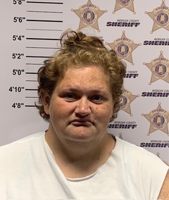 Mugshot of BREANNA MORGAN MCDONALD