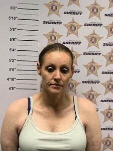 Mugshot of JENNIFER MARIE WILBOURN