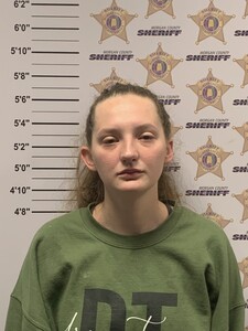 Mugshot of ABBIE RAE LEE