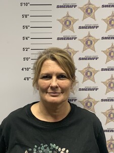 Mugshot of BRIDGET DAWN PEARSON
