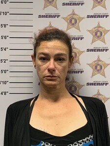 Mugshot of ERICA LYNN WALLS EVANS