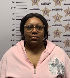Mugshot of ERICA CHARDE HILL