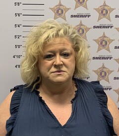 Mugshot of LEIGH ANN GILLESPIE