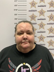 Mugshot of ELIZABETH NICHOLE DAVENPORT
