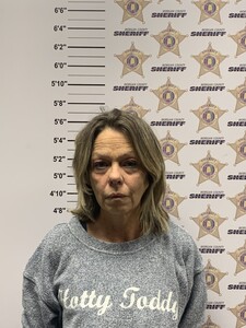 Mugshot of DANA LEIGH RYAN