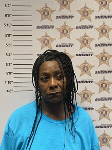 Mugshot of SHALONDA MICHELLE HEARRING