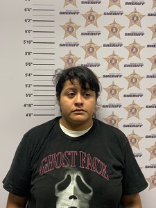 Mugshot of GRABIELA MARTINEZ