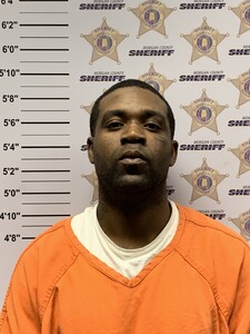 Mugshot of LORENZO JR LOVE