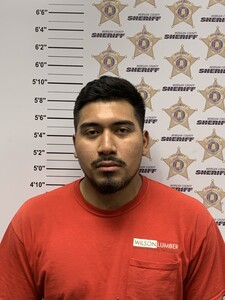 Mugshot of JOVANNI MAYO MAYO SOLIS