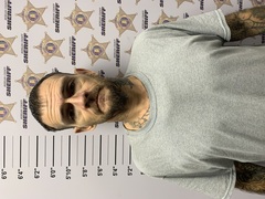 Mugshot of CLIFFORD H JR CLEMMONS