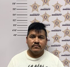 Mugshot of PEDRO MIGUEL ALONZO